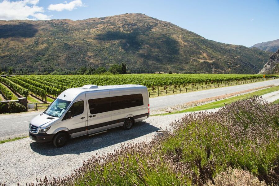 Queenstown: Twilight Wine and Craft Beer Tour - Why the late afternoon departure works so well
