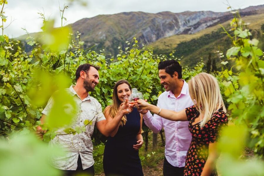 Queenstown: Twilight Wine and Craft Beer Tour - First and second stops: Central Otago wine at the cellar doors
