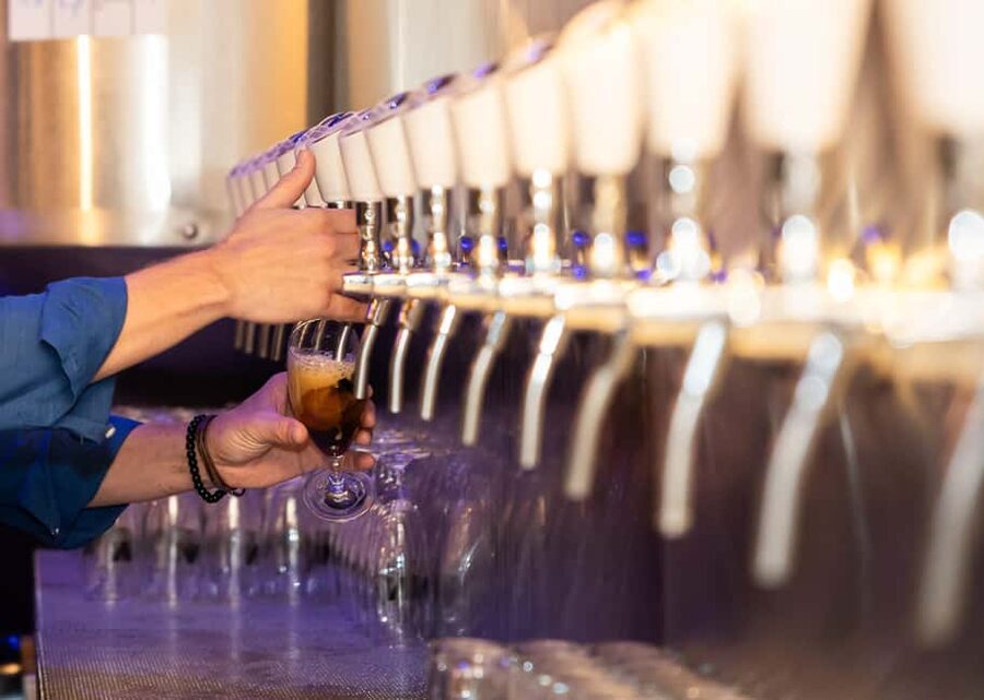 Rotterdam: Beer Brewery 'Noordt' Beer Tasting - What Makes the Noordt Tasting Worth Your Time