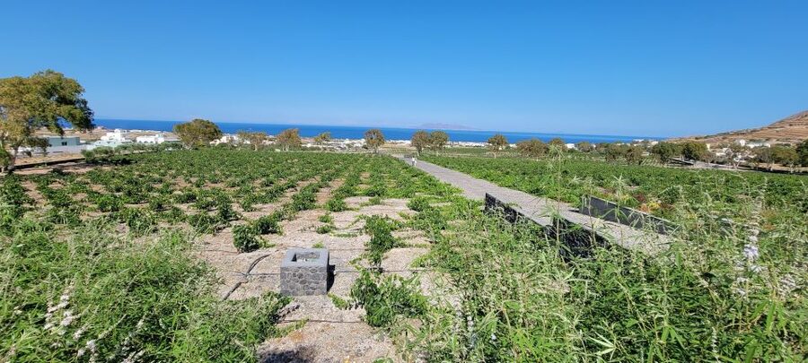 Santorini: Three Wineries and One Brewery Tour with Tastings - The brewery first, with three local beers