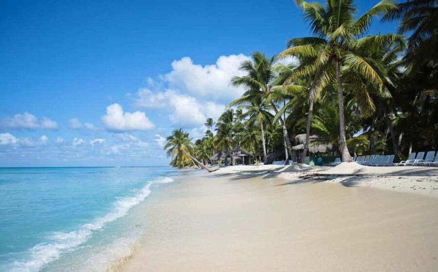 Saona Island all day with lunch and open bar departing from Punta Cana - A natural pool stop with fish and starfish