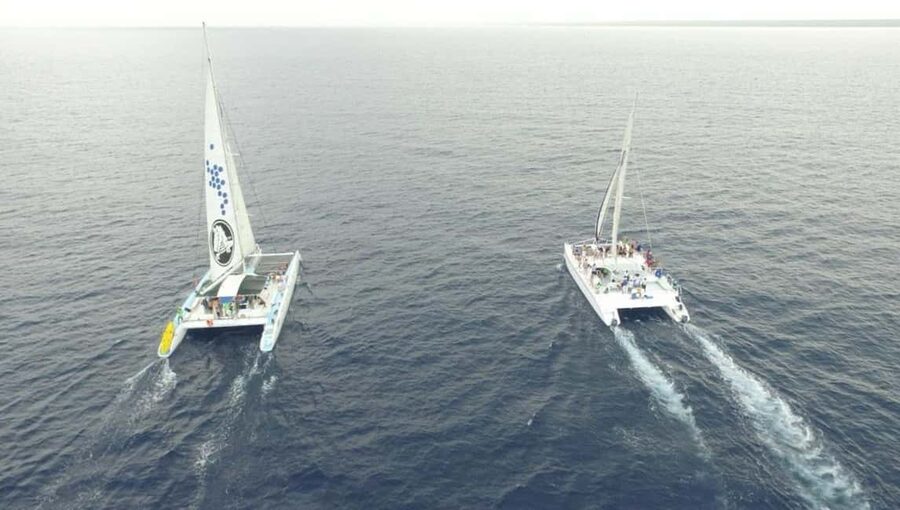 Saona Island all day with lunch and open bar departing from Punta Cana - Dominican lunch and the open bar
