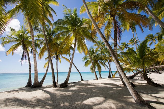 Saona Island Day Trip From Punta Cana with Lunch and Open Bar - Key points before you book
