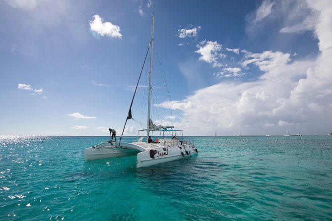 Saona Island Day Trip From Punta Cana with Lunch and Open Bar - Buffet lunch and the open bar