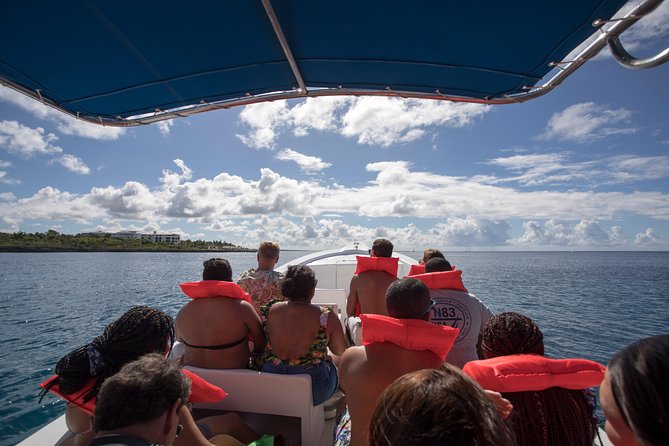 Saona Island Day Trip From Punta Cana with Lunch and Open Bar - Guides, group management, and the human side of the trip