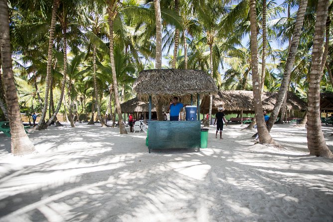 Saona Island Day Trip From Punta Cana with Lunch and Open Bar - Is $82 a fair price?