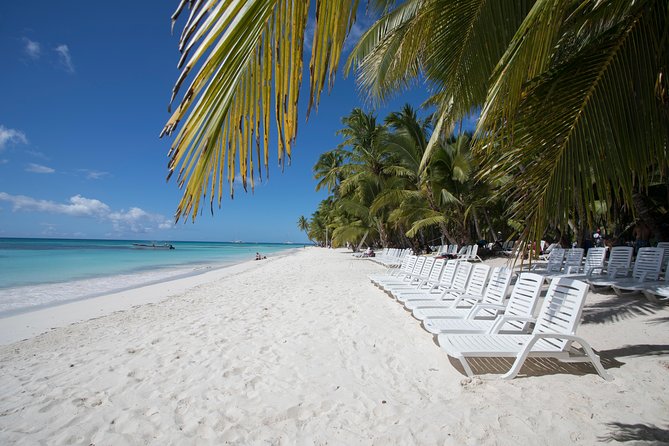 Saona Island Day Trip From Punta Cana with Lunch and Open Bar - Reaching Bayahibe and choosing the right boat