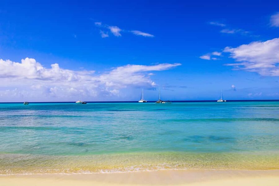 Saona Island Day Trip + Lunch + Open Bar from Punta Cana - Saona Island beach time and lunch