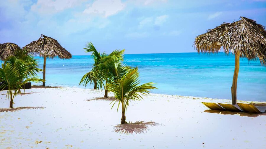 Saona Island Day Trip + Lunch + Open Bar from Punta Cana - The catamaran ride back to Bayahibe