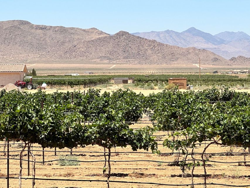 Scenic Desert Wine, Distillery Tastings/Brewery/RT66 & Lunch - Little Old Wine Drinkers Vineyard and Arizona wine