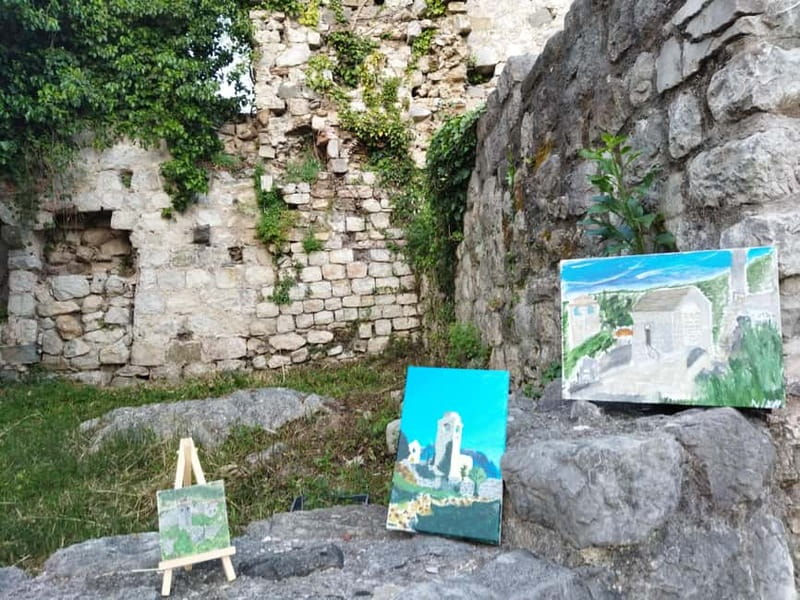 Secrets of the Old Town Bar - A Journey through Millennia - The Old Olive Tree and the meaning of Mirovica