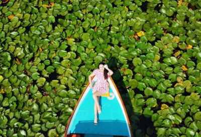 Skadar Lake Nature Cruise with Free Drinks