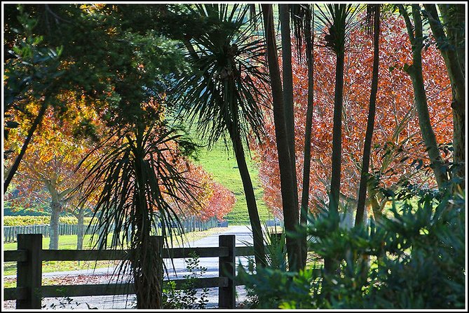 Small group - Napier Premium Wineries+ Beer tour -5.0 - 5.5 hours - What $136.53 really covers