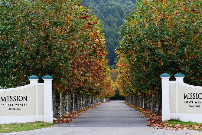 Small group - Napier Premium Wineries+ Beer tour -5.0 - 5.5 hours - Timing, weather, and practical details