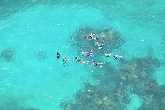 Snorkeling Adventure at Isla Mujeres Includes Lunch and Open Bar - The reef and underwater museum stop