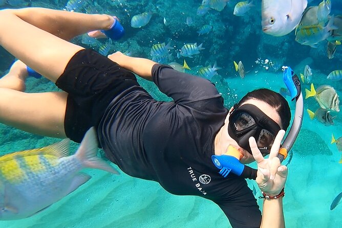 Snorkeling On Chilean Beach Transportation And Drinks Included - Key points to know before booking