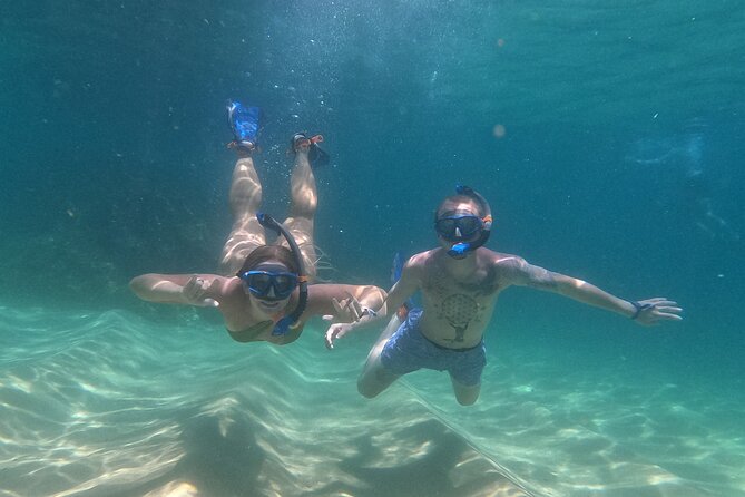 Snorkeling On Chilean Beach Transportation And Drinks Included - What you may see beneath the surface