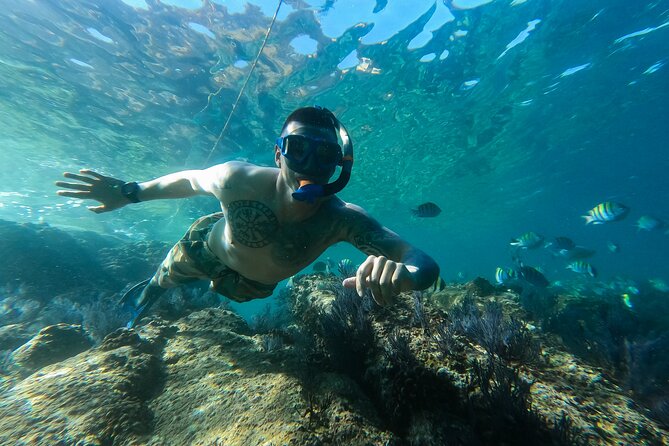 Snorkeling On Chilean Beach Transportation And Drinks Included - Pickup details require attention
