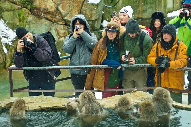 Snow Monkeys, Hokusai & Sake: A Perfect Day in Nagano - Walking the forest trail to Jigokudani