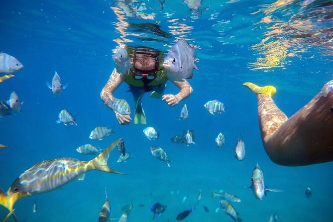 Sosua Party Boat -Snorkeling-Brunch-Drinks-Snacks-Transportation - The Real Question: Is $750 Good Value?