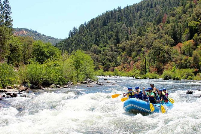 South Fork, American River: Chili Bar (Class III+ Whitewater) - What This South Fork Rafting Trip Is Really Like