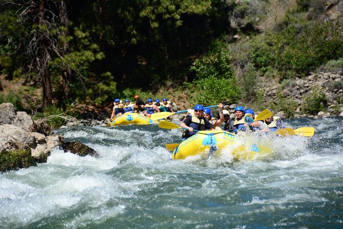 South Fork, American River: Chili Bar (Class III+ Whitewater) - Clayton and the Guide Experience