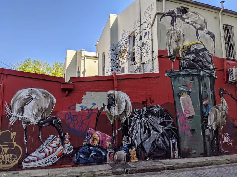 Sydney: Street Art & Small Bar Tour with Complimentary Drink - Saturday in Redfern and Chippendale