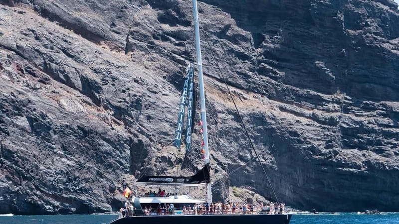 Tenerife: Catamaran Cruise with an Open Bar - Settling onto the Freebird catamaran