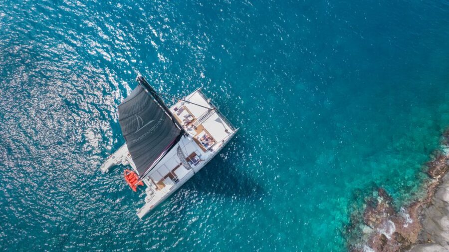 Tenerife: Catamaran Cruise with Brunch and Unlimited Drinks - Is the $71 price good value?