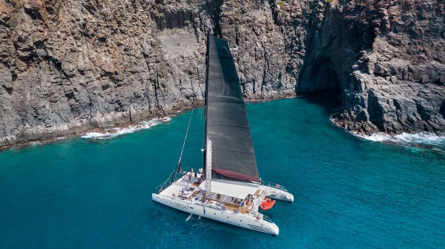 Tenerife: Catamaran Cruise with Brunch and Unlimited Drinks - Punta Rasca and the search for whales