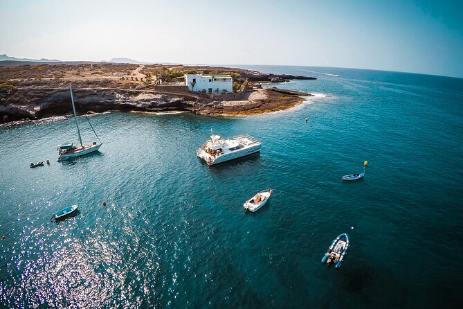 Tenerife Sunset Catamaran tour with transfer - Food and Drinks included. - The Search for Pilot Whales and Dolphins