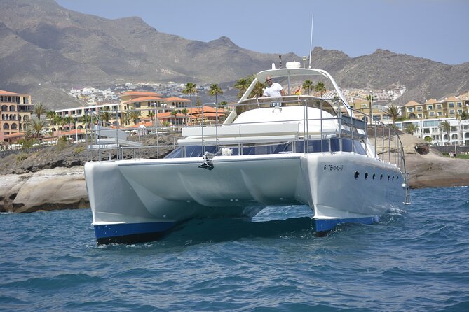 Tenerife Sunset Catamaran tour with transfer - Food and Drinks included. - How Much Value Do You Get for $75.01?