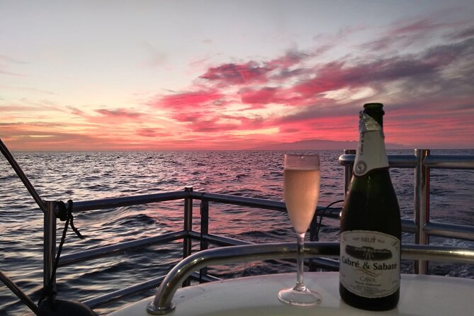 Tenerife Sunset Catamaran tour with transfer - Food and Drinks included. - Should You Book the Tenerife Sunset Catamaran?
