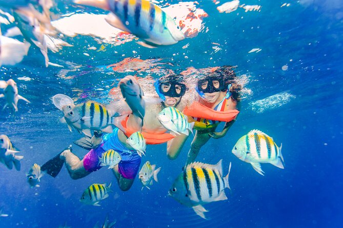 The Best Catamaran tour to Isla Mujeres with Open Bar and Lunch - The 30-minute reef snorkeling stop