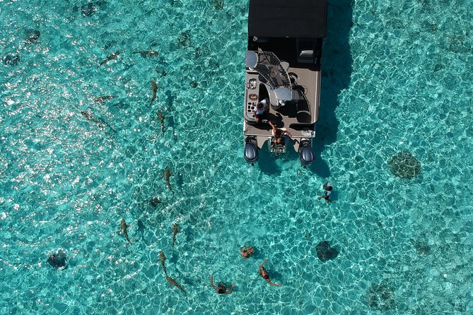 Toa Boat Bora Bora Private Lagoon Tour On Entertainer Bar Boat - Snorkeling With Rays, Sharks, and Reef Fish