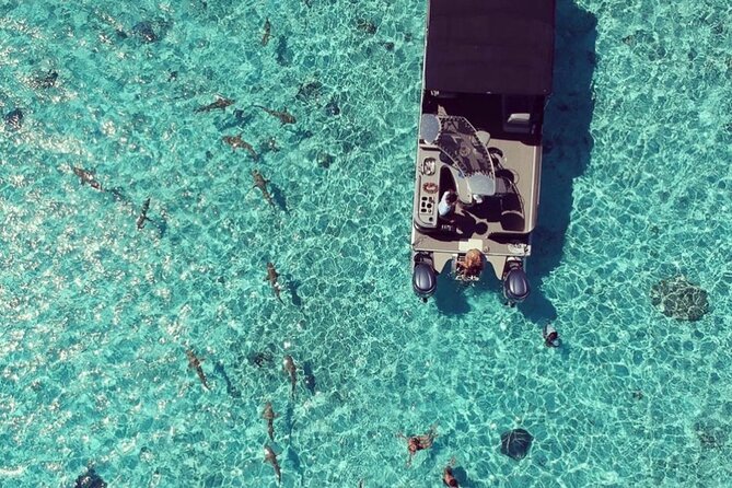 Toa Boat Bora Bora Private Lagoon tour with Lunch on Entertainer Bar Boat - Guides who shape the day