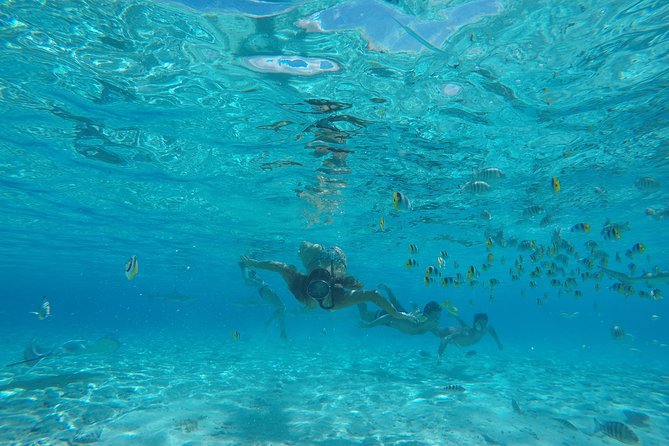 Toa Boat Bora Bora Private Lagoon tour with Lunch on Entertainer Bar Boat - Is $795 per person good value?