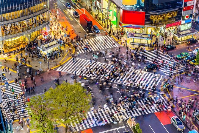 Tokyo: Shibuya Local Bar & Izakaya Crawl Tour - Key points to know before booking