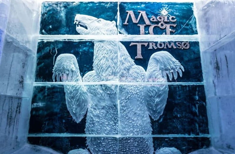 Tromsø: Magic Ice Bar Entrance and Welcome Drink - The ice glass and welcome drink