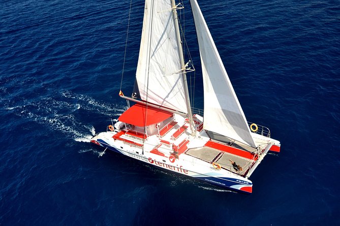 Watching and Listening Whales visiting Los Gigantes&Masca. Food&drinks included - Five things to know before you sail