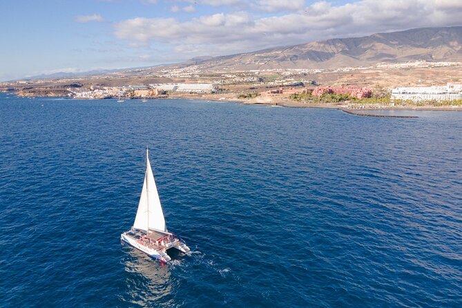 Watching and Listening Whales visiting Los Gigantes&Masca. Food&drinks included - Masca Bay for swimming and sun
