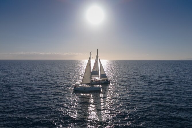 Watching and Listening Whales visiting Los Gigantes&Masca. Food&drinks included - Who will enjoy this catamaran trip most