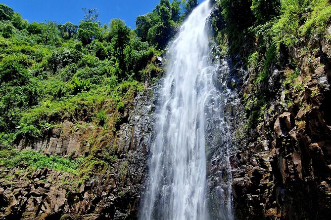 Waterfall, coffee tour & hot springs - lunch and drinks included - Frank, the guide, and the private format