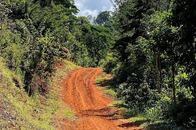 Waterfall, coffee tour & hot springs - lunch and drinks included - What the $99 price really includes
