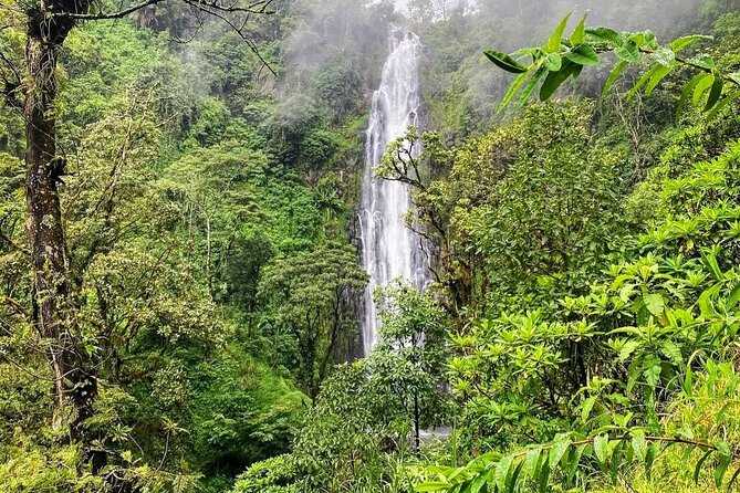 Waterfall, coffee tour & hot springs - lunch and drinks included - Who should book this day trip?