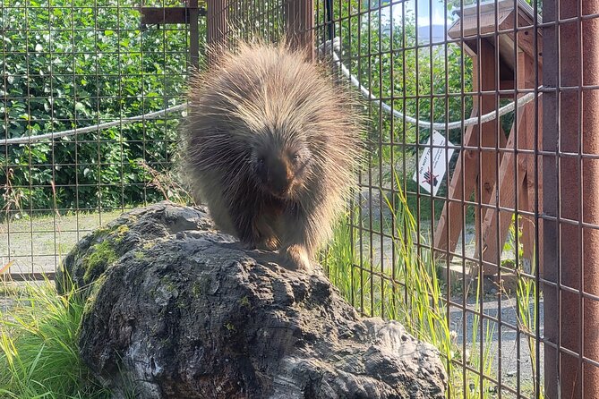 Wildlife Center with Lunch and Local Beer Sampling - Is $195 a fair price?