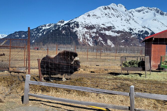 Wildlife Center with Lunch and Local Beer Sampling - Who should book this experience?