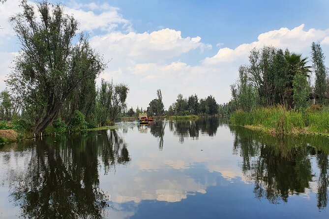 Xochimilco Barco Fiesta Tentacion 18+ with Open Bar and Tacos - Who should book this experience