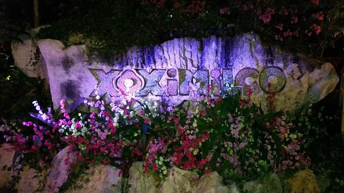 Xoximilco Ticket: Boat Fiesta, Traditional Tasting & Tequila Bar - What the Xoximilco evening is really like