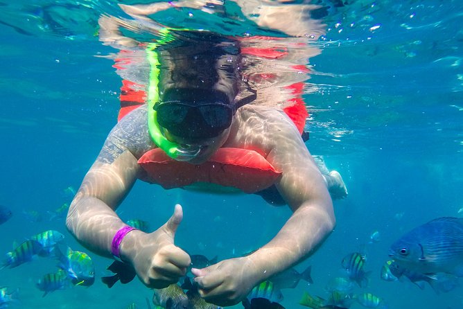 Yelapa Waterfall, BBQ at Exclusive Majahuitas Beach & Open bar - Is $99 a good value?